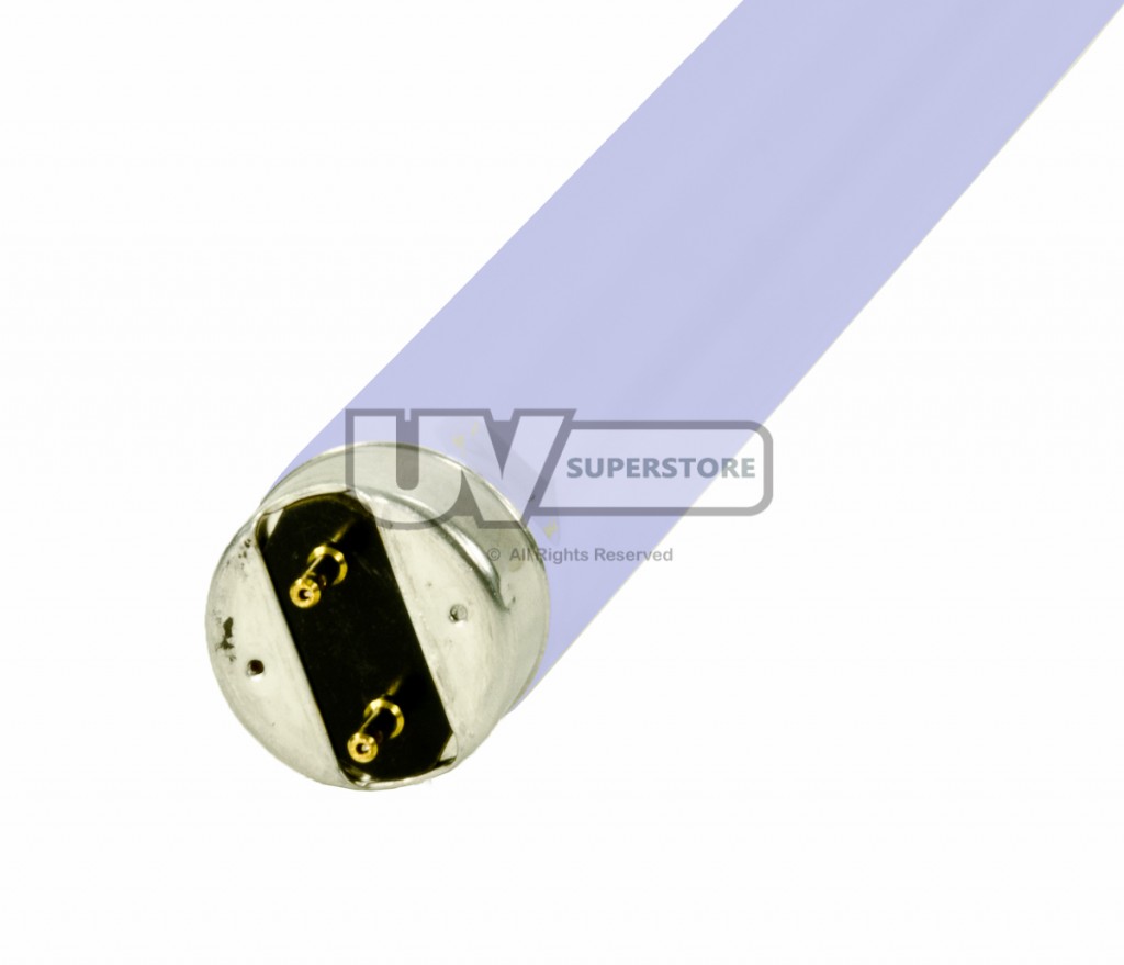 S5RL Medium Bi-Pin Base