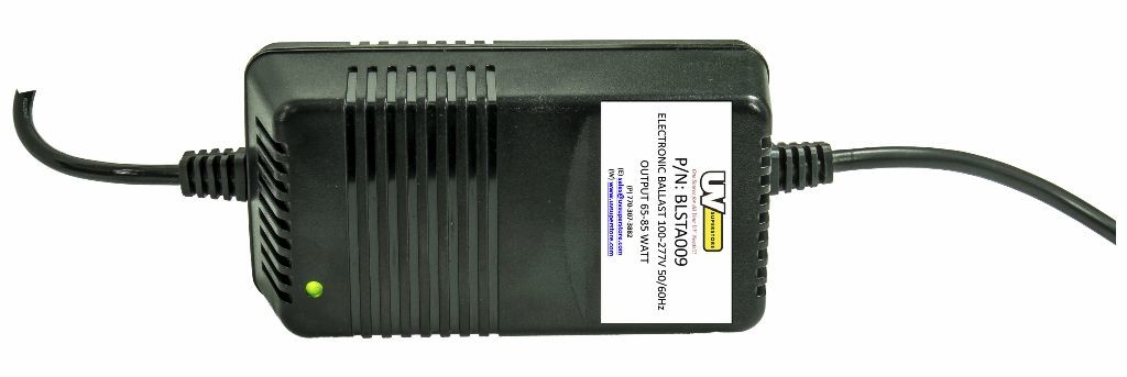 BLSTA0009